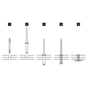 Nit trhací – hlava kvet